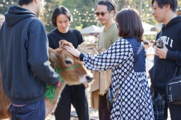 ＼🐮いとことブラウンのお散歩デビュー🍄／