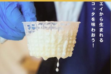 自分だけの「さけるチーズ」やできたて「リコッタ」が作れる!チーズとホエイをまるごと楽しむ祭典「チーズとホエイの祭典 vol.4」開催